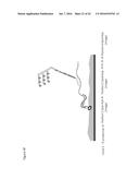 ENZYME- AND AMPLIFICATION-FREE SEQUENCING diagram and image