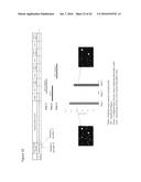 ENZYME- AND AMPLIFICATION-FREE SEQUENCING diagram and image