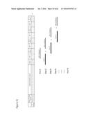 ENZYME- AND AMPLIFICATION-FREE SEQUENCING diagram and image