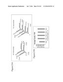 ENZYME- AND AMPLIFICATION-FREE SEQUENCING diagram and image