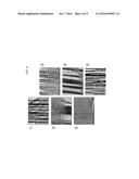 NANOCRYSTALLINE MAGNETIC ALLOY AND METHOD OF HEAT-TREATMENT THEREOF diagram and image