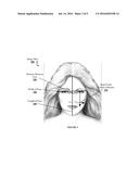 SYSTEMS AND METHODS FOR USING CURVATURES TO ANALYZE FACIAL AND BODY     FEATURES diagram and image