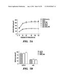 PROTEINS FOR TARGETING NEURONAL NITRIC OXIDE SYNTHASE TO MUSCLE SARCOLEMMA     AND RELATED METHODS OF USE diagram and image