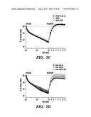 PROTEINS FOR TARGETING NEURONAL NITRIC OXIDE SYNTHASE TO MUSCLE SARCOLEMMA     AND RELATED METHODS OF USE diagram and image