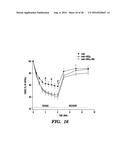 PROTEINS FOR TARGETING NEURONAL NITRIC OXIDE SYNTHASE TO MUSCLE SARCOLEMMA     AND RELATED METHODS OF USE diagram and image