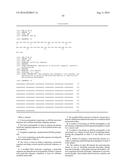 PROTEINS FOR TARGETING NEURONAL NITRIC OXIDE SYNTHASE TO MUSCLE SARCOLEMMA     AND RELATED METHODS OF USE diagram and image