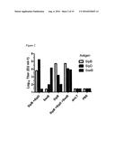 Use of the Salmonella SPP Type III Secretion Proteins as a Protective     Vaccination diagram and image