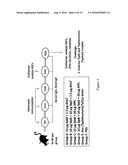 Use of the Salmonella SPP Type III Secretion Proteins as a Protective     Vaccination diagram and image