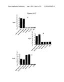 Use of the Salmonella SPP Type III Secretion Proteins as a Protective     Vaccination diagram and image