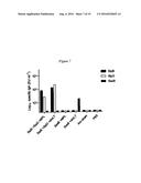 Use of the Salmonella SPP Type III Secretion Proteins as a Protective     Vaccination diagram and image