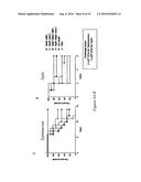 Use of the Salmonella SPP Type III Secretion Proteins as a Protective     Vaccination diagram and image