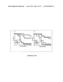 Use of the Salmonella SPP Type III Secretion Proteins as a Protective     Vaccination diagram and image