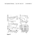 IMMUNOGENIC FORMULATION CONTAINING RECOMBINANT LIVE BCG THAT EXPRESS     ANTIGENS OF METAPNEUMOVIRUS (HMPV), IN A SUSPENSION PREPARED FROM A     LYOPHILISATE, WITHOUT REQUIRING AN ADJUVANT, SUITABLE FOR PHARMACEUTICAL     USE diagram and image