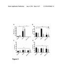 IMMUNOGENIC FORMULATION CONTAINING RECOMBINANT LIVE BCG THAT EXPRESS     ANTIGENS OF METAPNEUMOVIRUS (HMPV), IN A SUSPENSION PREPARED FROM A     LYOPHILISATE, WITHOUT REQUIRING AN ADJUVANT, SUITABLE FOR PHARMACEUTICAL     USE diagram and image