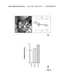 USE OF ELECTRICALLY CONDUCTIVE MATERIALS FOR ELECTROPHYSIOLOGY diagram and image