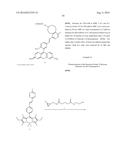 TETRAZINE-CONTAINING COMPOUNDS AND SYNTHETIC METHODS THEREOF diagram and image