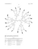 POLYAMIDE BASED PEPTIDODENDRIMER CONJUGATES diagram and image