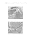 Coatings for Preventing Balloon Damage to Polymer Coated Stents diagram and image