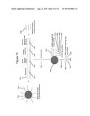 METHODS AND COMPOSITIONS FOR TAGGING AND ANALYZING SAMPLES diagram and image