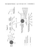 METHODS AND COMPOSITIONS FOR TAGGING AND ANALYZING SAMPLES diagram and image