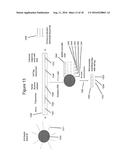 METHODS AND COMPOSITIONS FOR TAGGING AND ANALYZING SAMPLES diagram and image