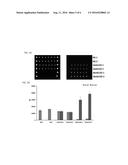 FLUORO COPOLYMERS, IMMOBILIZATION OF BIOMOLECULES, AND MICROARRAYS diagram and image