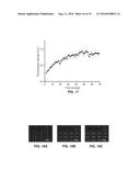 DIGITAL FLUID SAMPLE SEPARATION APPARATUS AND METHODS FOR ONE-STEP     QUANTITATIVE SAMPLE ANALYSIS diagram and image