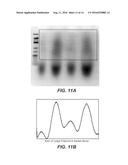 NON-ENZYMATIC, SALT-MEDIATED SYNTHESIS OF POLYNUCLEIC ACIDS diagram and image