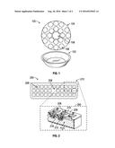 SEED STARTER diagram and image