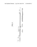 Human Artificial Chromosome Vector diagram and image