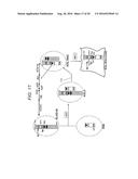 Human Artificial Chromosome Vector diagram and image