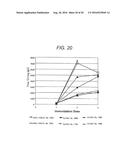 Human Artificial Chromosome Vector diagram and image