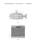 ACTIVE ECHO FISHING LURE diagram and image