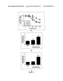 GINGER METABOLITES AND USES THEREOF diagram and image