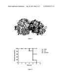 USE OF BAICALIN IN PREPARATION OF DRUGS FOR TREATING ACUTE HEMOLYTIC     UREMIC SYNDROME diagram and image