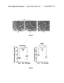 USE OF BAICALIN IN PREPARATION OF DRUGS FOR TREATING ACUTE HEMOLYTIC     UREMIC SYNDROME diagram and image