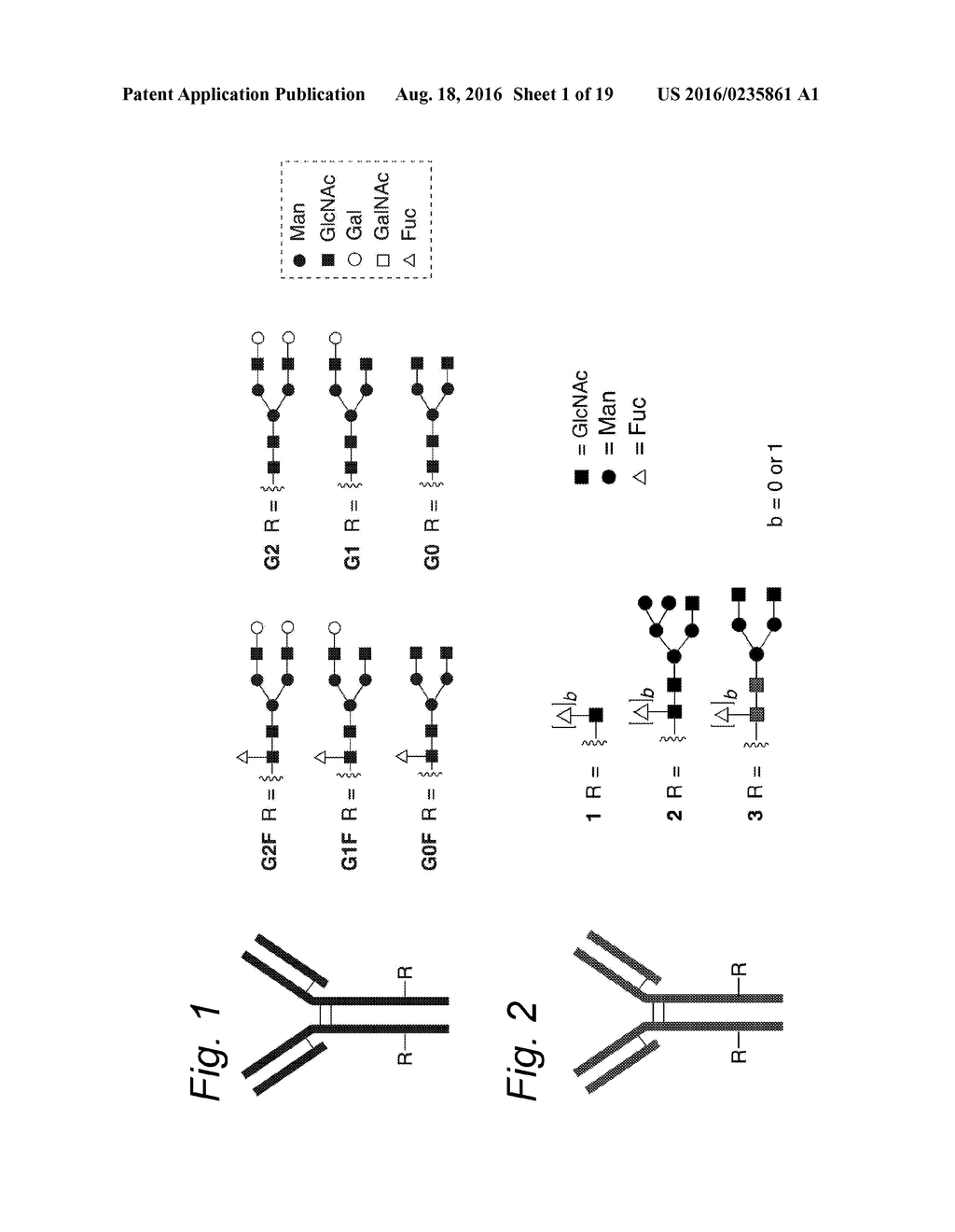 GLYCOENGINEERED ANTIBODY, ANTIBODY-CONJUGATE AND METHODS FOR THEIR     PREPARATION - diagram, schematic, and image 02