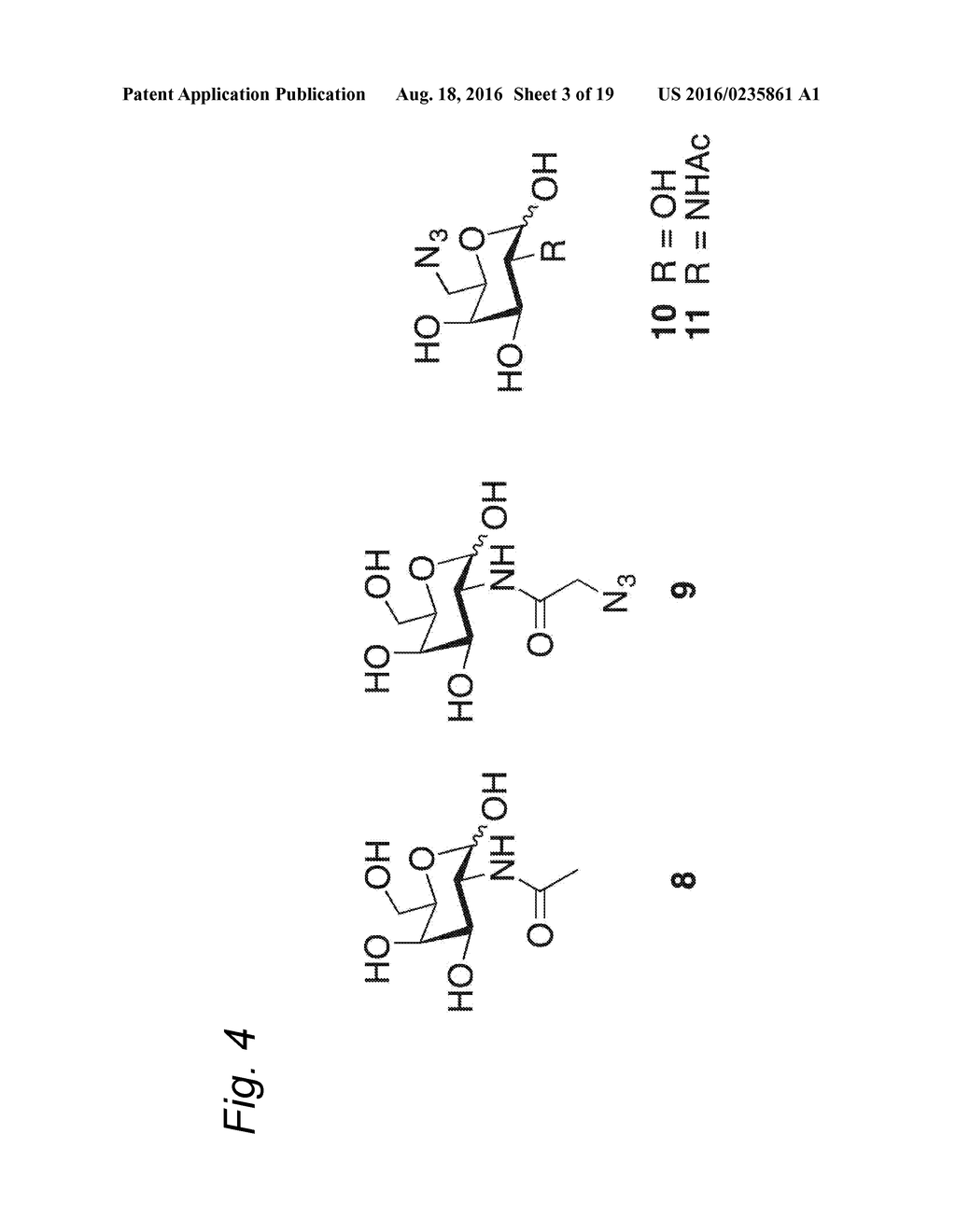 GLYCOENGINEERED ANTIBODY, ANTIBODY-CONJUGATE AND METHODS FOR THEIR     PREPARATION - diagram, schematic, and image 04