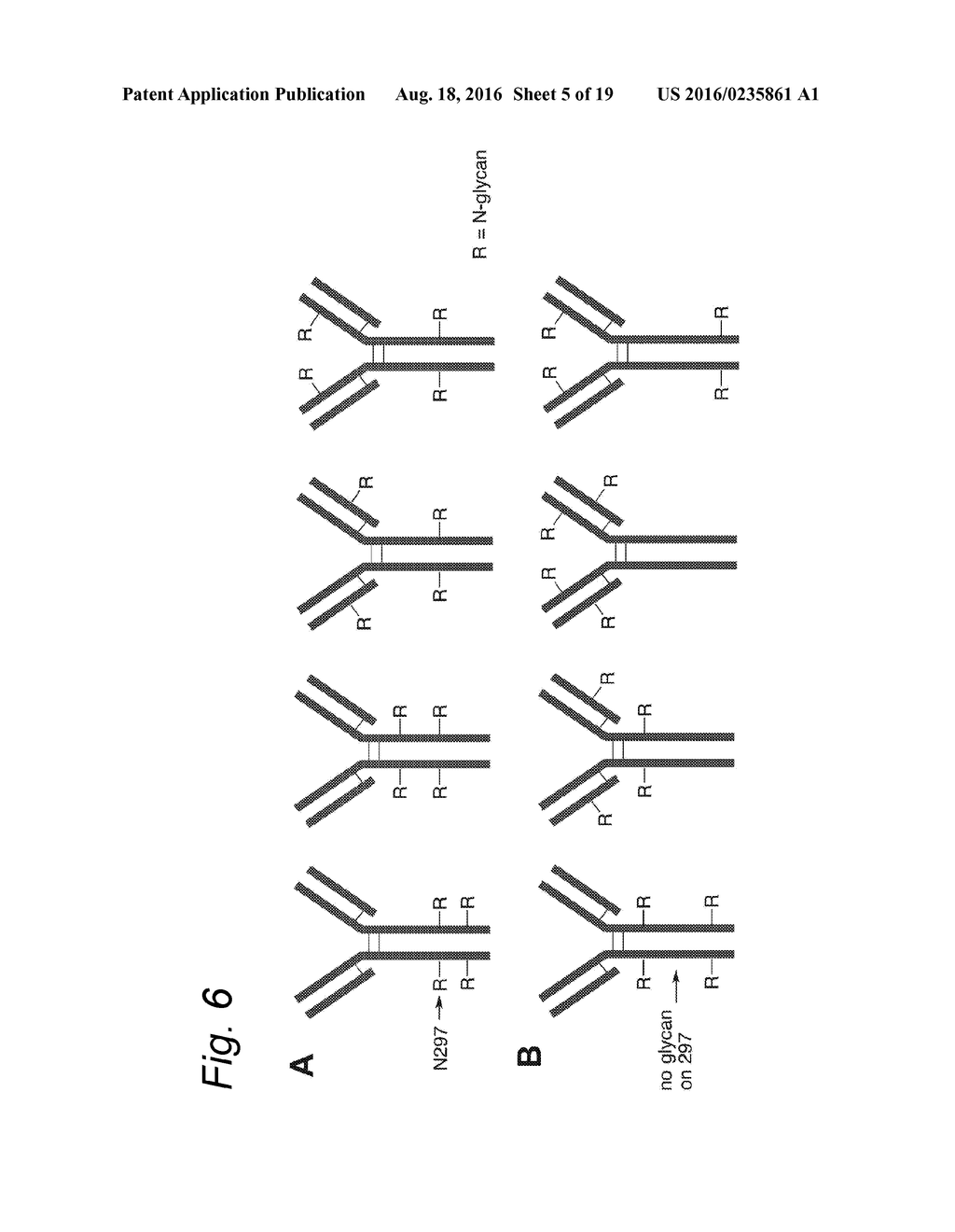 GLYCOENGINEERED ANTIBODY, ANTIBODY-CONJUGATE AND METHODS FOR THEIR     PREPARATION - diagram, schematic, and image 06