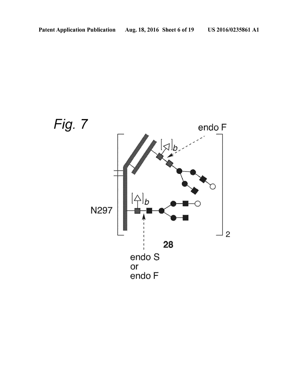 GLYCOENGINEERED ANTIBODY, ANTIBODY-CONJUGATE AND METHODS FOR THEIR     PREPARATION - diagram, schematic, and image 07