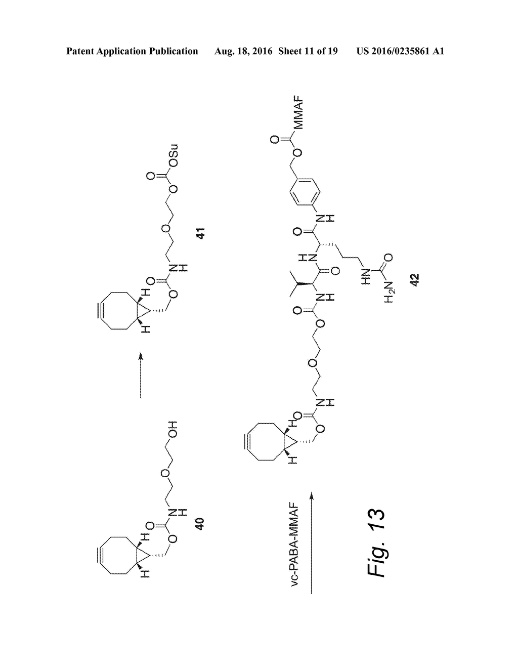 GLYCOENGINEERED ANTIBODY, ANTIBODY-CONJUGATE AND METHODS FOR THEIR     PREPARATION - diagram, schematic, and image 12