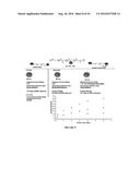 Multifunctional Degradable Nanoparticles with Control over Size and     Functionalities diagram and image