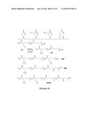 Multifunctional Degradable Nanoparticles with Control over Size and     Functionalities diagram and image