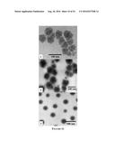 Multifunctional Degradable Nanoparticles with Control over Size and     Functionalities diagram and image