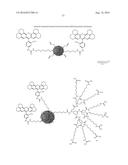 Multifunctional Degradable Nanoparticles with Control over Size and     Functionalities diagram and image