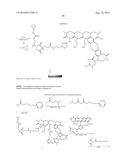 Multifunctional Degradable Nanoparticles with Control over Size and     Functionalities diagram and image