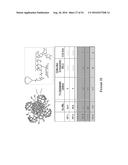 Multifunctional Degradable Nanoparticles with Control over Size and     Functionalities diagram and image