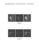 Multifunctional Degradable Nanoparticles with Control over Size and     Functionalities diagram and image