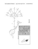 Multifunctional Degradable Nanoparticles with Control over Size and     Functionalities diagram and image