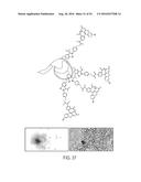 Multifunctional Degradable Nanoparticles with Control over Size and     Functionalities diagram and image